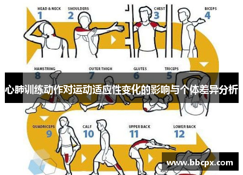 心肺训练动作对运动适应性变化的影响与个体差异分析