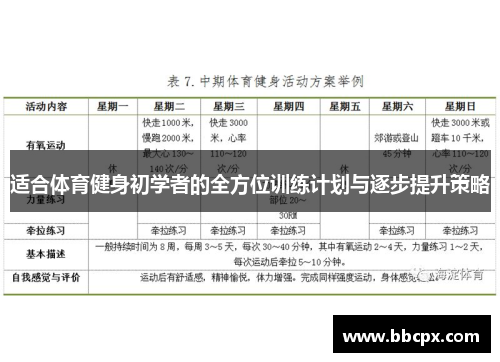适合体育健身初学者的全方位训练计划与逐步提升策略